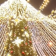 ��������, 59 ���, ������