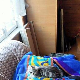 ������ �����, �����-���������, 49 ���