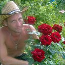 ���� =����=, ������ - ��������� 25 ������ 2026 � ������ ���� ����������