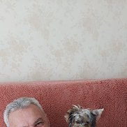 , 52 , 