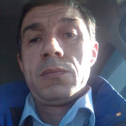 ������� �����������, ����, 46 ���