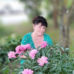 ��������, �������