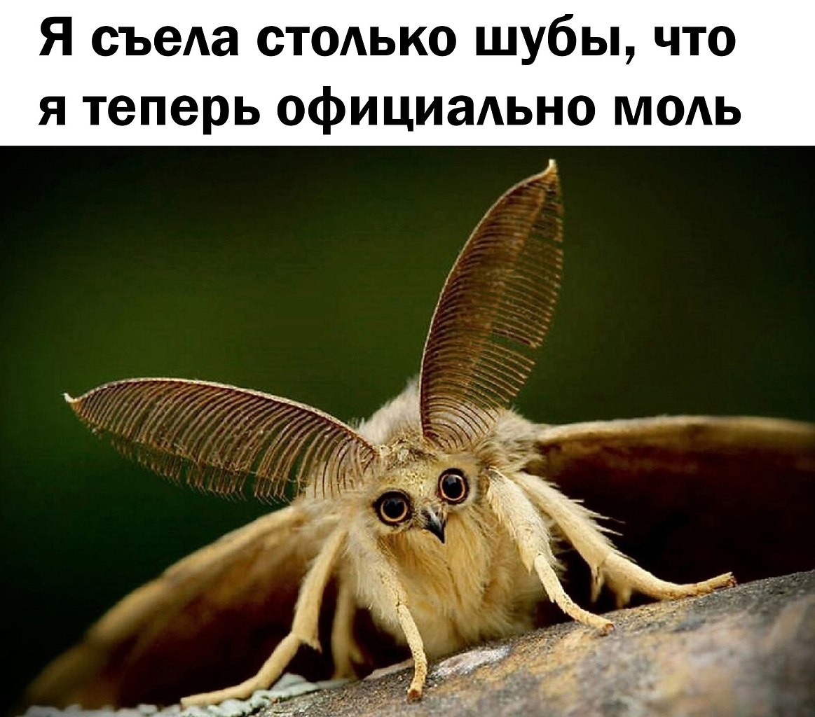 �������� ����������� ����� - 4 ������ 2025 � 13:02