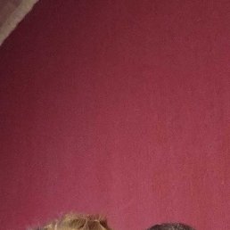 ���� �������, 45 ���, ���������