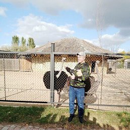 �����, ���������, 39 ���