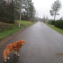 � ������ ���� ����! �� ������� ������ ��������