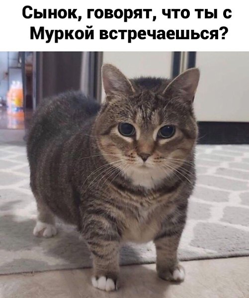  - 15  2025  18:05