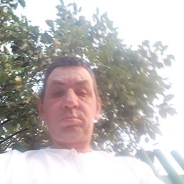 , 47 , 