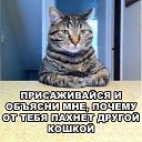 ���� ����, ��������, 62 ���� - ��������� 9 ���� 2025 � ������ ������ ��������