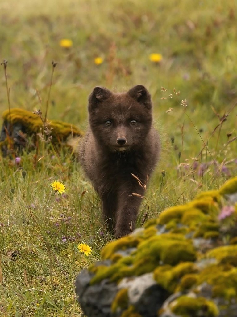 oa  a, o aa peca ,  cpa oea o ce c, o ep ca ca ... - 5