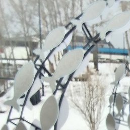 ��������, ����������, 43 ����