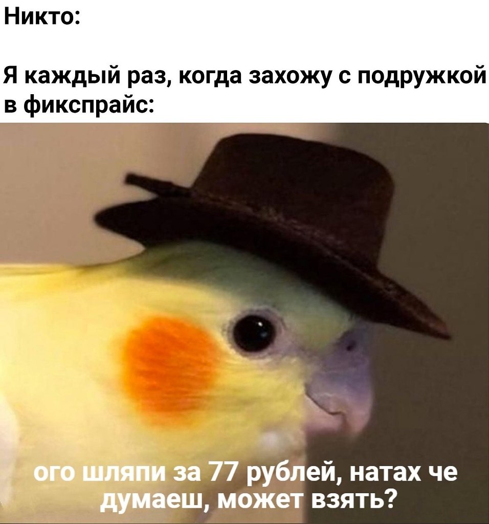    - 29  2024  13:13