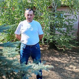 ������, �������, 59 ���