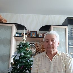 ���������, 67 ���, ���������