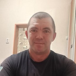 ���������, 44 ����, �����������