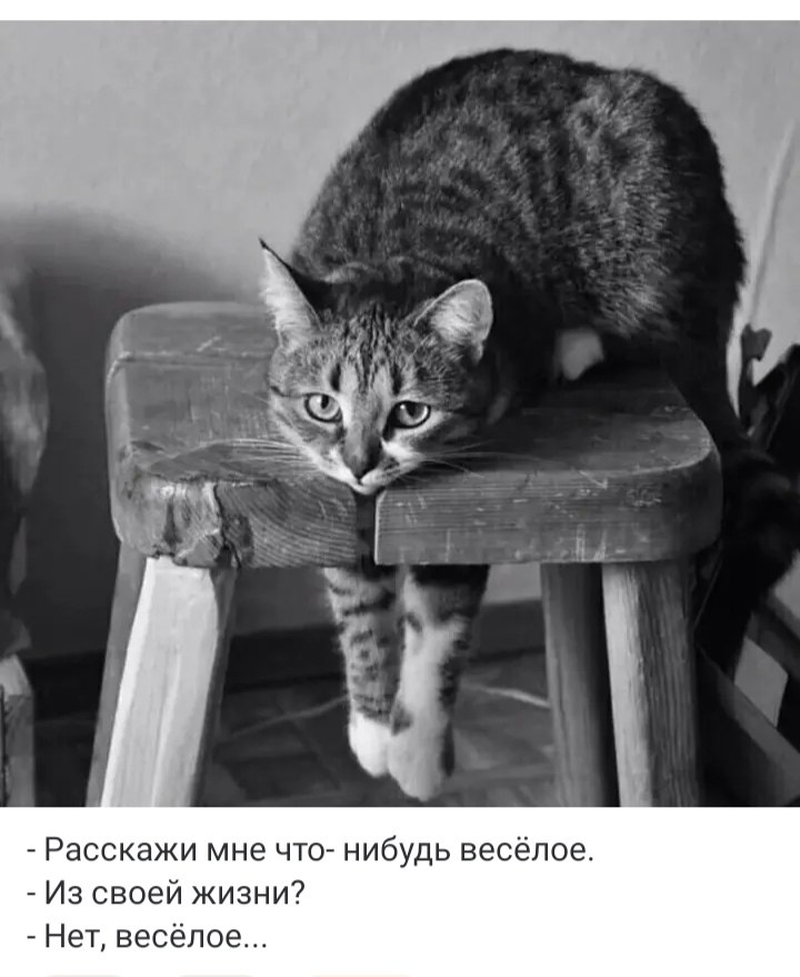 ***Victoria Viktorovna*** - 14  2024  18:35