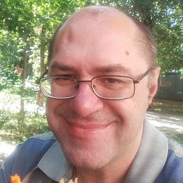 �������, ������, 46 ���