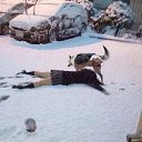 ���� ������, ������������, 43 ���� - ��������� 1 ������ 2024 � ������ ���� ����������