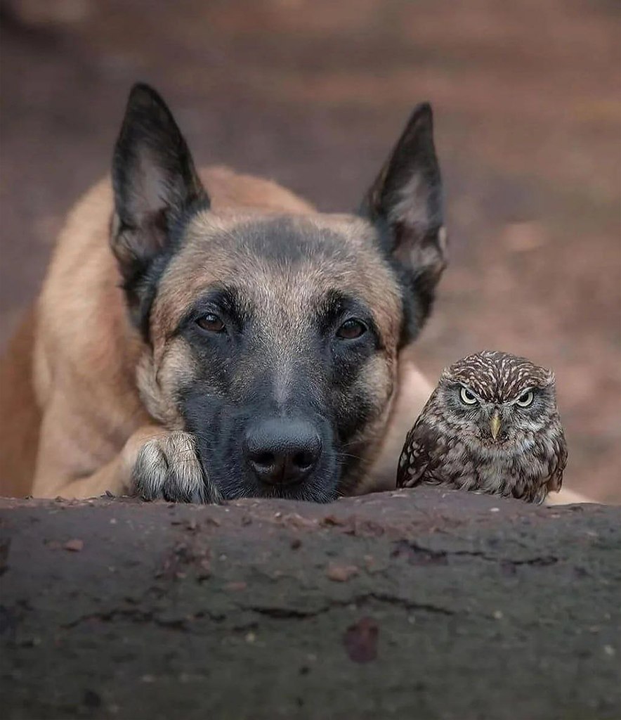 �������� �������� ���� ������ �������� �������� ����� ������ �������, ��� ����������� ������� ���� ... - 6