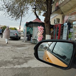 ���� �����, �����, 42 ���� - ��������� 26 ������ 2023