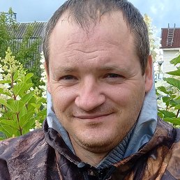 ����, �����, 36 ���