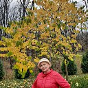 ���� ����, ���������, 70 ��� - ��������� 3 ������ 2023