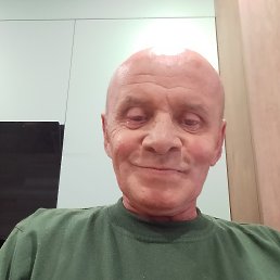 , 61, 
