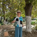 ���� ���������, ���������, 72 ���� - ��������� 6 ������� 2026 � ������ ���� ����������