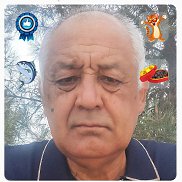 , 66 , 