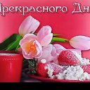 ���� �������, ������, 58 ��� - ��������� 24 ����� 2025 � ������ ���� ����������