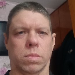 ������, �����, 41 ���