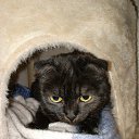 ���� �����, �����������, 60 ��� - ��������� 17 ������� 2025 � ������ ���� ����������