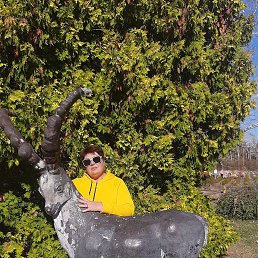 ���� ����, ����������, 63 ���� - ��������� 24 ������ 2023