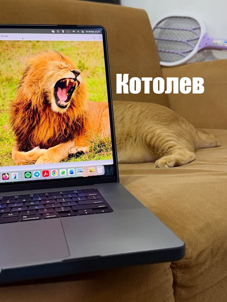��� ���� � ����� �� �� - 17 ������� 2025 � 18:03 - 4