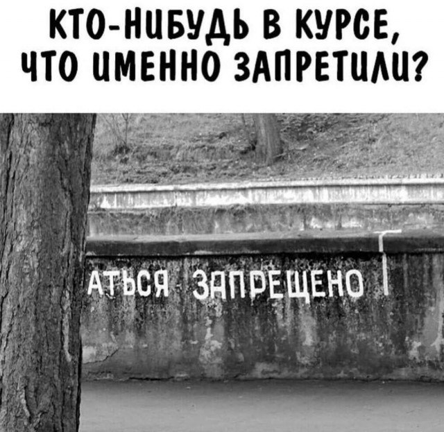 ������ - 1 ��� 2026 � 21:01