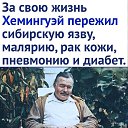���� �������, ���������, 36 ��� - ��������� 18 ������� 2024 � ������ ���� ����������