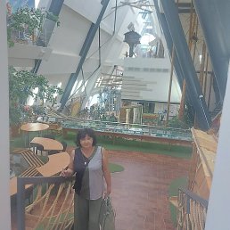 �������, ������, 66 ���