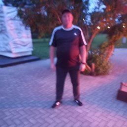 , 39, 