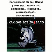 ����, 37 ���, �����