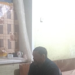 �������, 41 ���, ����