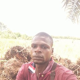 Sawaodogo Inoussa, �����������, 29 ���