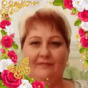 ���� ���������, �����, 55 ��� - ��������� 28 ������ 2026 � ������ ���� ����������