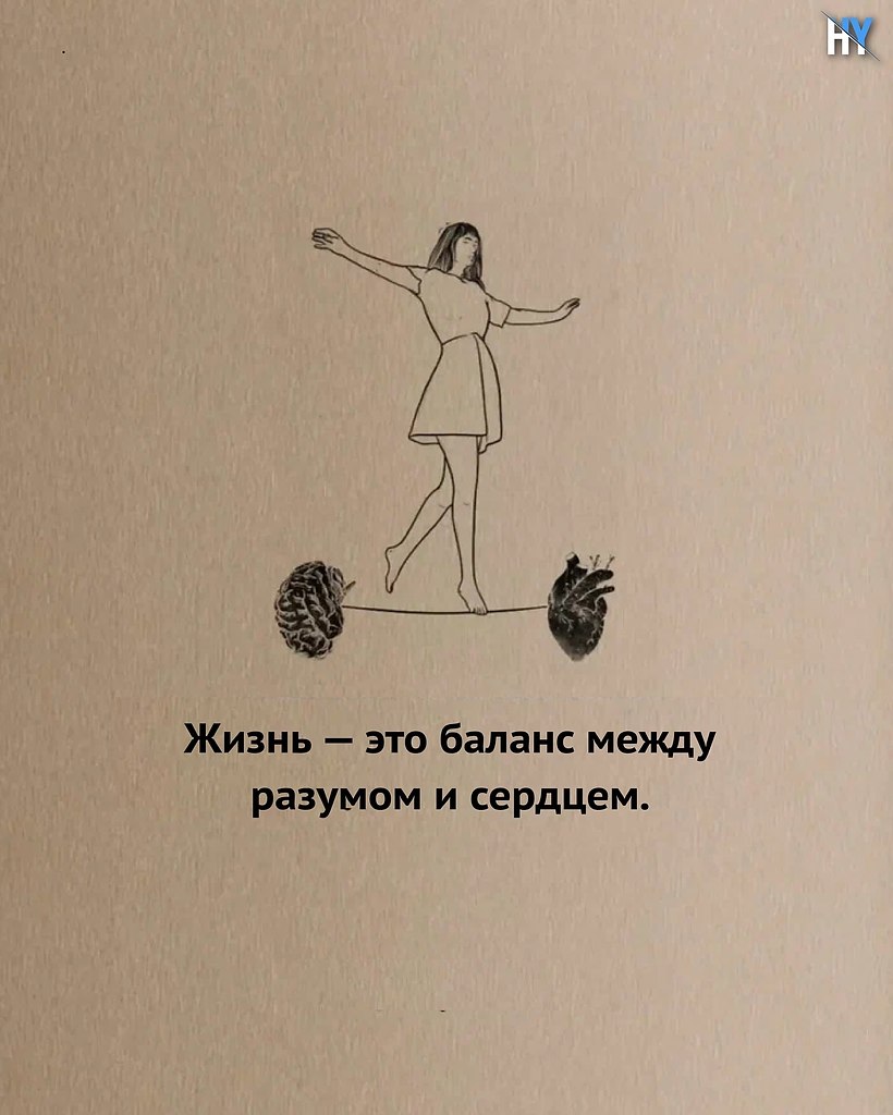 ,   ,   . ,   ,   . ... - 8