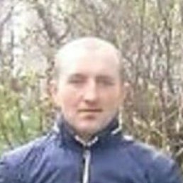 ������, ���������, 36 ���