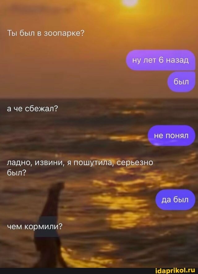 ������ - 23 ������� 2025 � 20:04