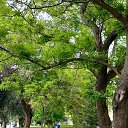 ���� ������, ������, 40 ��� - ��������� 12 ���� 2025