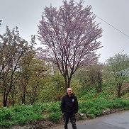 ����, 50 ���, ����-���������