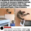 ���� ����, ������ - ��������� 18 ������ 2026 � ������ ������ ��������
