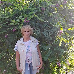 �������, ���������