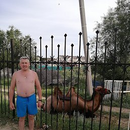 �������, ���, 56 ���